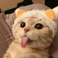 Jericho Rosales avatar